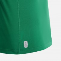 Волейбольна футболка чоловіча Macron RHODIUM Зелений/Білий