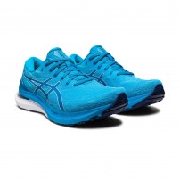 Кросівки для бігу чоловічі Asics GEL-KAYANO 29 Island blue/White