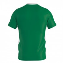 Волейбольна футболка чоловіча Errea BRIAN Зелений/Білий