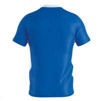 Волейбольна футболка чоловіча Errea BRIAN Синій/Білий