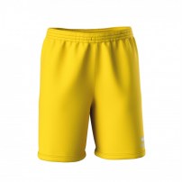 Волейбольні шорти чоловічі Errea EDO Жовтий