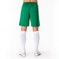 Волейбольні шорти чоловічі Joma NOBEL Зелений