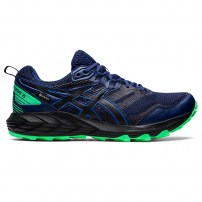 Кросівки для бігу чоловічі Asics GEL-SONOMA 6 G-TX Lake Drive