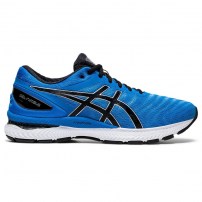 Кроссовки для бега мужские Asics GEL-NIMBUS 22 Синий/Черный
