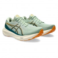 Кросівки для бігу чоловічі Asics GEL-KAYANO 30 Dark jade/Black