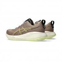 Кросівки для бігу чоловічі Asics GEL-CUMULUS 27 Taupe grey/Black