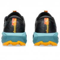 Кросівки для бігу чоловічі Asics GEL-TRABUCO 13 GTX Black/Atlantis blue