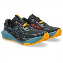 Кросівки для бігу чоловічі Asics GEL-TRABUCO 13 GTX Black/Atlantis blue