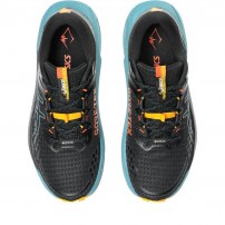 Кросівки для бігу чоловічі Asics GEL-TRABUCO 13 GTX Black/Atlantis blue