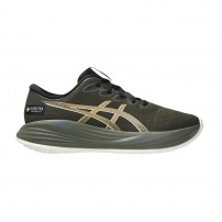 Кросівки для бігу чоловічі Asics GEL-CUMULUS 27 GTX Brown stone/Whisper green