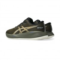 Кросівки для бігу чоловічі Asics GEL-CUMULUS 27 GTX Brown stone/Whisper green