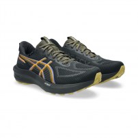 Кросівки для бігу чоловічі Asics GT-1000 14 GTX Black/Dark cobalt