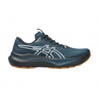 Кросівки для бігу чоловічі Asics GT-2000 14 TR Nature bathing/Tranquil teal
