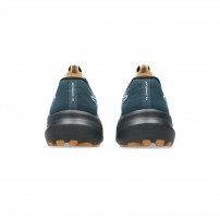 Кросівки для бігу чоловічі Asics GT-2000 14 TR Nature bathing/Tranquil teal