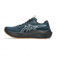 Кросівки для бігу чоловічі Asics GT-2000 14 TR Nature bathing/Tranquil teal