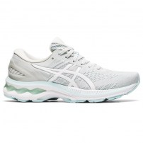 Кроссовки для бега женские Asics GEL-KAYANO 27 Glacier Grey/White