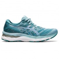 Кроссовки для бега женские Asics GEL-NIMBUS 23 Smoke Blue/Pure Silver