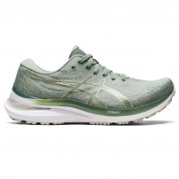 Кросівки для бігу жіночі Asics GEL-KAYANO 29 Slate grey/Champagne