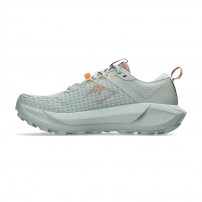 Кросівки для бігу жіночі Asics GEL-TRABUCO 13 Lichen Rock/Cream