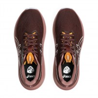 Кросівки для бігу жіночі Asics GT-2000 14 TR Nature bathing/Dark red planet
