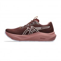 Кросівки для бігу жіночі Asics GT-2000 14 TR Nature bathing/Dark red planet