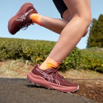 Кросівки для бігу жіночі Asics GT-2000 14 TR Nature bathing/Dark red planet