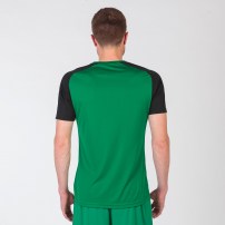 Волейбольна футболка чоловіча Joma ACADEMY IV Зелений/Чорний