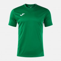 Волейбольна футболка чоловіча Joma WINNER IV Зелений/Сірий