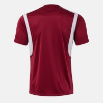 Волейбольна футболка чоловіча Joma WINNER IV Бордовий/Сірий
