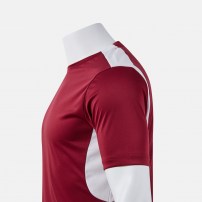 Волейбольна футболка чоловіча Joma WINNER IV Бордовий/Сірий