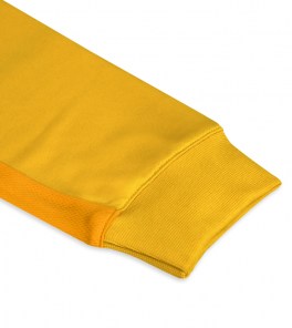 Спортивна куртка чоловіча Zeus TRAIN START Жовтий