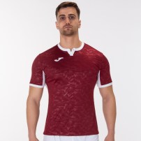Волейбольная футболка мужская Joma TOLETUM II Бордовый/Белый