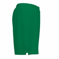 Волейбольные шорты мужские Joma TOLEDO II Зеленый