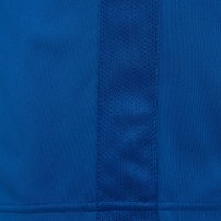 Волейбольні шорти чоловічі Macron BISMUTH HERO Синій
