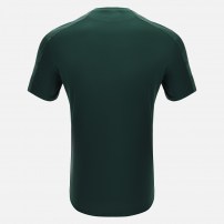 Волейбольна футболка чоловіча Macron GEDE Зелений