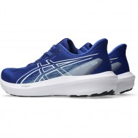 Кросівки для бігу чоловічі Asics GT-1000 15 Prussian blue/White