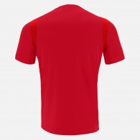 Волейбольная футболка мужская Macron RODDER Красный