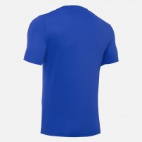 Волейбольна футболка чоловіча Macron RIGEL HERO Синій