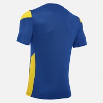 Волейбольна футболка чоловіча Macron POLIS Синій/Жовтий