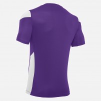 Волейбольна футболка чоловіча Macron POLIS Фіолетовий/Білий