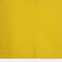 Спортивні шорти чоловічі Macron MESA HERO Жовтий