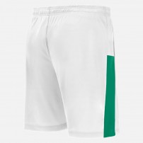 Волейбольні шорти чоловічі Macron SKARA Білий/Зелений
