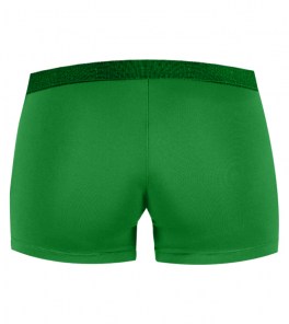 Волейбольні шорти жіночі Zeus TIGER Зелений