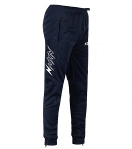 Спортивні штани чоловічі Zeus ENEA Темно-синій/Темно-сірий