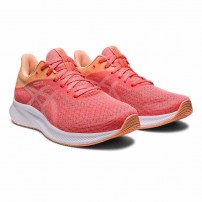 Кросівки для бігу жіночі Asics PATRIOT 13 Papaya/White