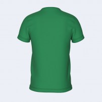 Волейбольна футболка чоловіча Errea EVERTON Зелений