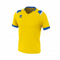 Волейбольная футболка мужская Errea LUCAS Желтый/Синий/Белый