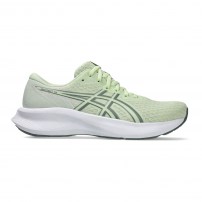 Кросівки для бігу жіночі Asics PATRIOT 14 Whisper green/Monument blue
