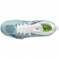 Волейбольні кросівки Mizuno WAVE MOMENTUM 2