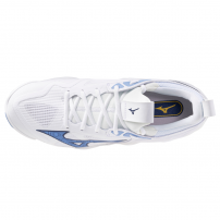 Волейбольні кросівки Mizuno WAVE MOMENTUM 3 White/Blue
